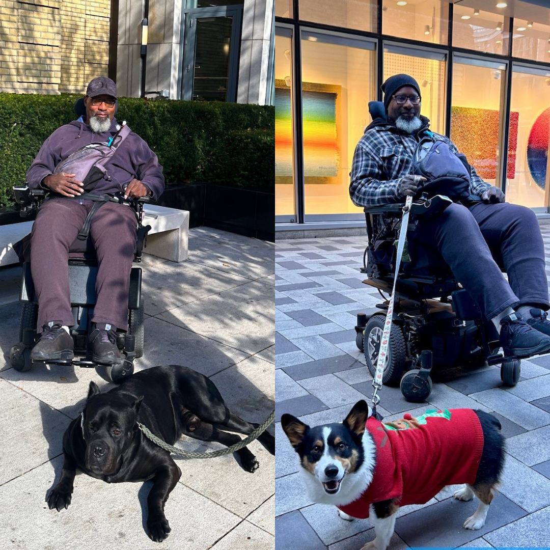 A collage of two images of Garrick next to dogs.